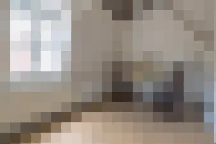 Predikherenstraat 18 Utrecht thumbnail 30