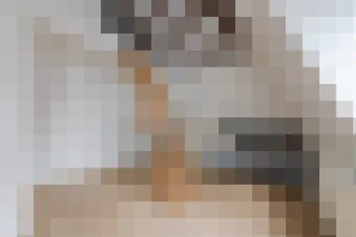 Predikherenstraat 18 Utrecht thumbnail 31