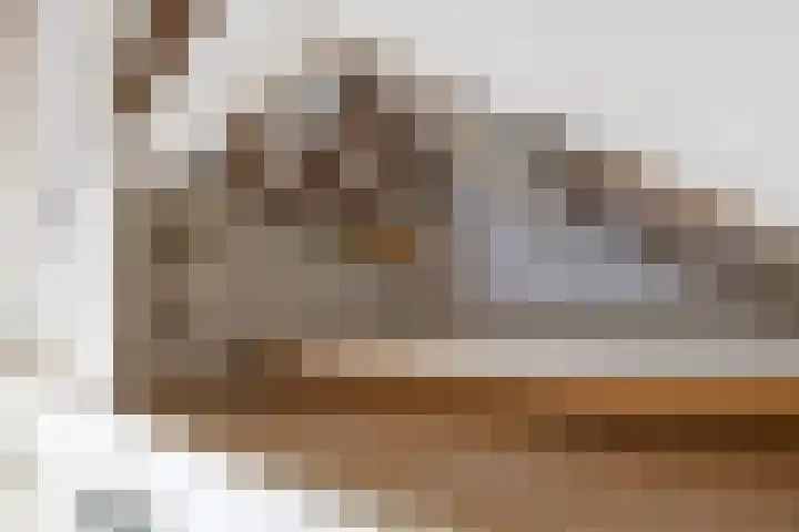 Predikherenstraat 18 Utrecht thumbnail 32