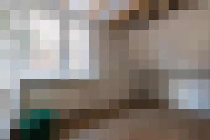 Predikherenstraat 18 Utrecht thumbnail 33