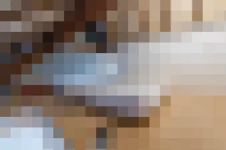 Predikherenstraat 18 Utrecht thumbnail 34