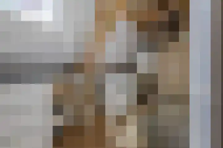 Predikherenstraat 18 Utrecht thumbnail 36