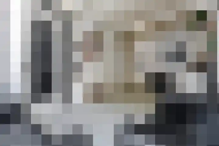 Predikherenstraat 18 Utrecht thumbnail 5