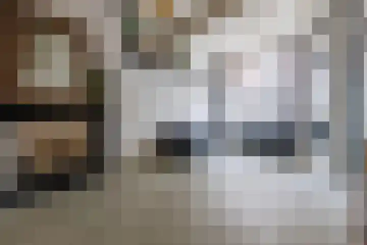 Predikherenstraat 18 Utrecht thumbnail 6