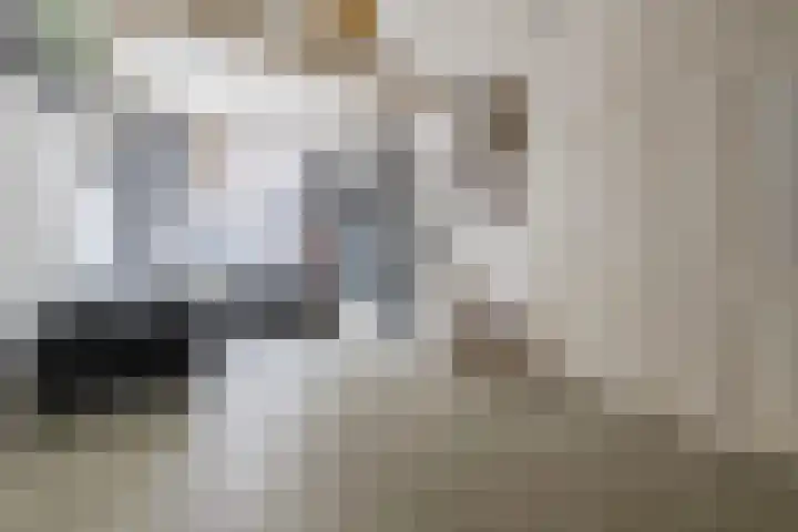 Predikherenstraat 18 Utrecht thumbnail 7