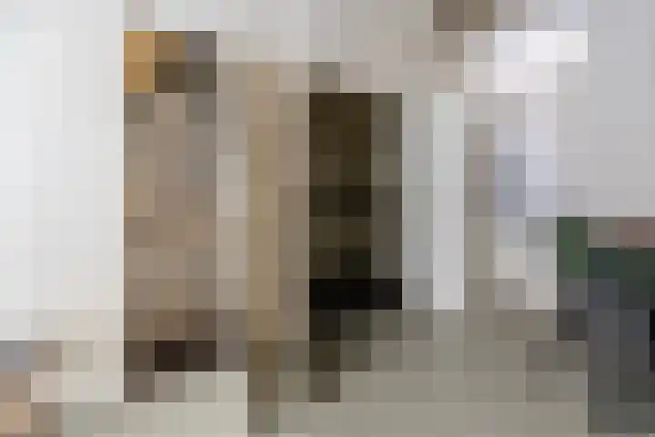 Predikherenstraat 18 Utrecht thumbnail 8