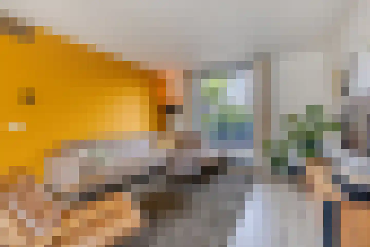 Predikherenstraat 7 Gemert thumbnail 11