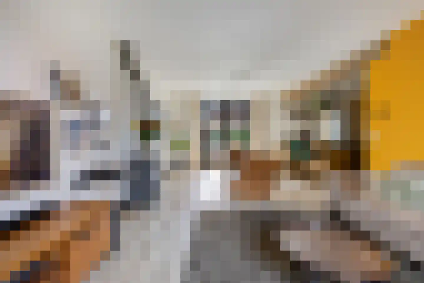 Predikherenstraat 7 Gemert thumbnail 12