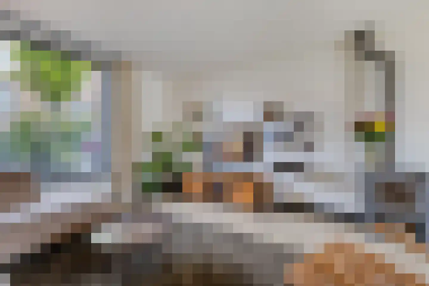 Predikherenstraat 7 Gemert thumbnail 13