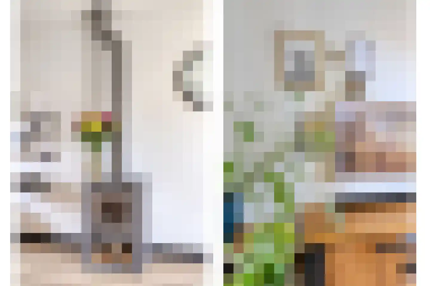 Predikherenstraat 7 Gemert thumbnail 14