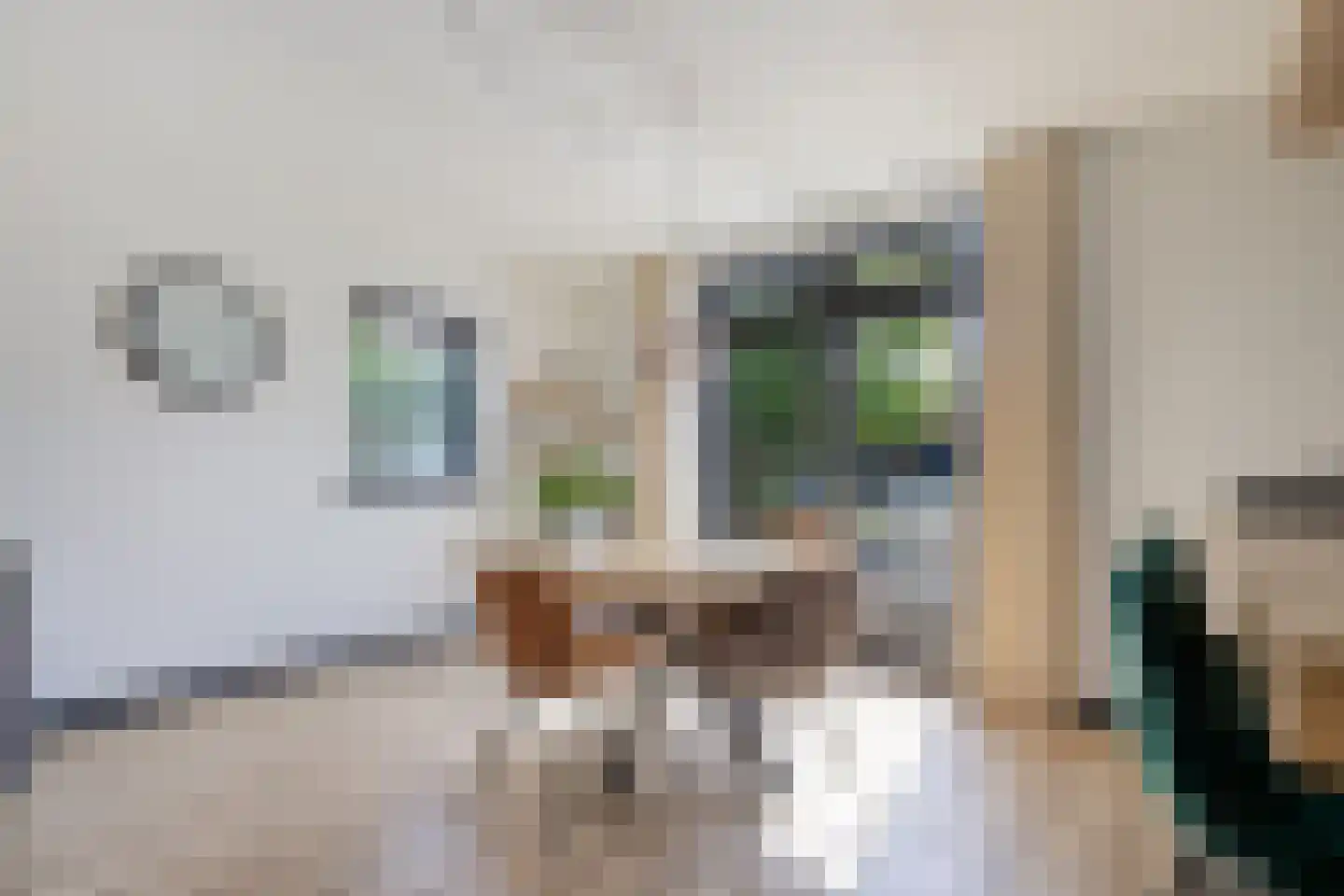 Predikherenstraat 7 Gemert thumbnail 16