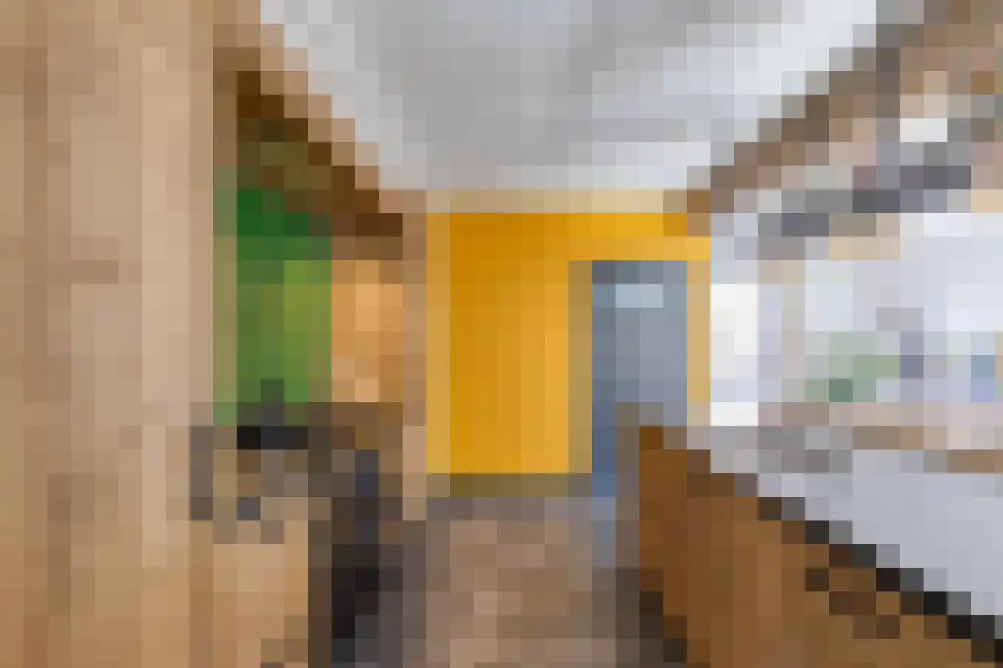 Predikherenstraat 7 Gemert thumbnail 18