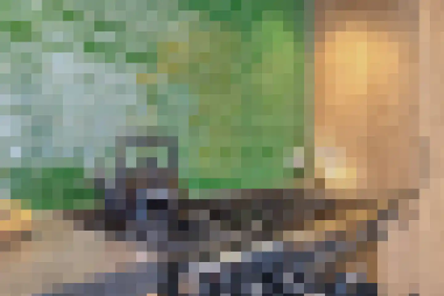 Predikherenstraat 7 Gemert thumbnail 20