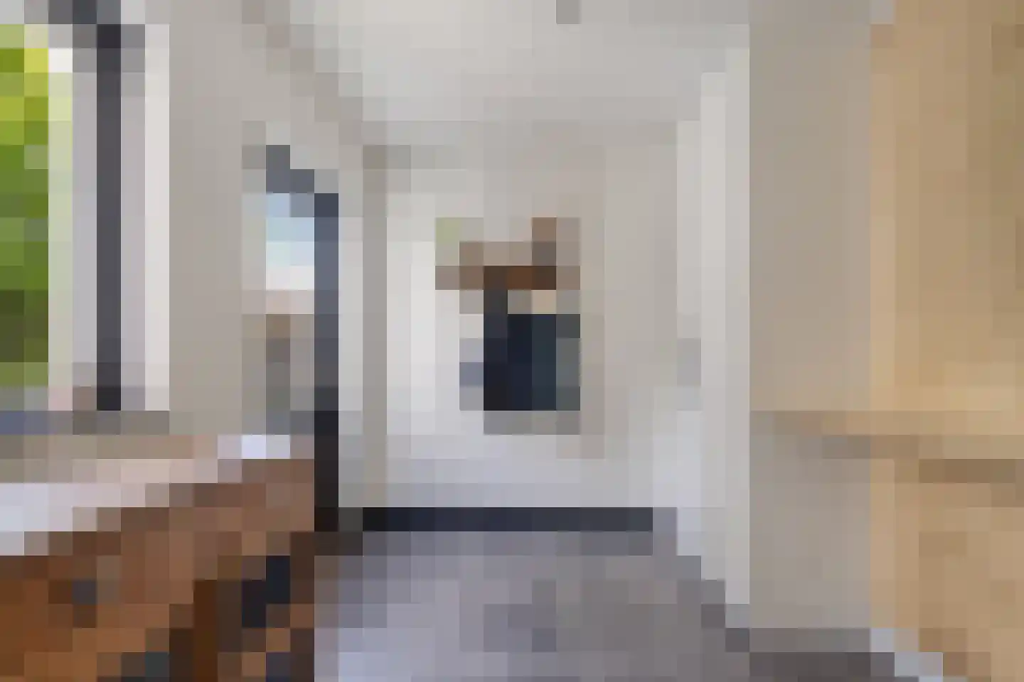 Predikherenstraat 7 Gemert thumbnail 21