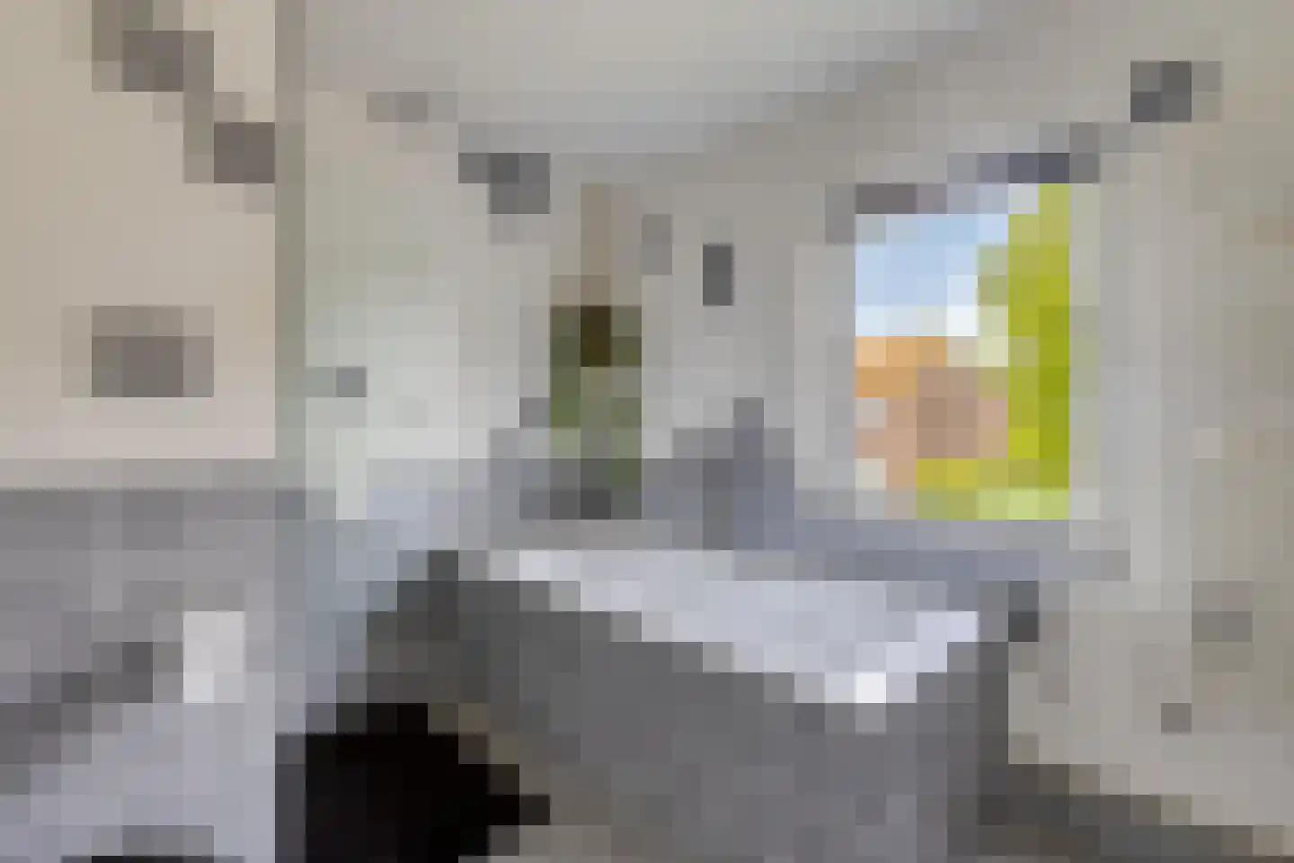 Predikherenstraat 7 Gemert thumbnail 26