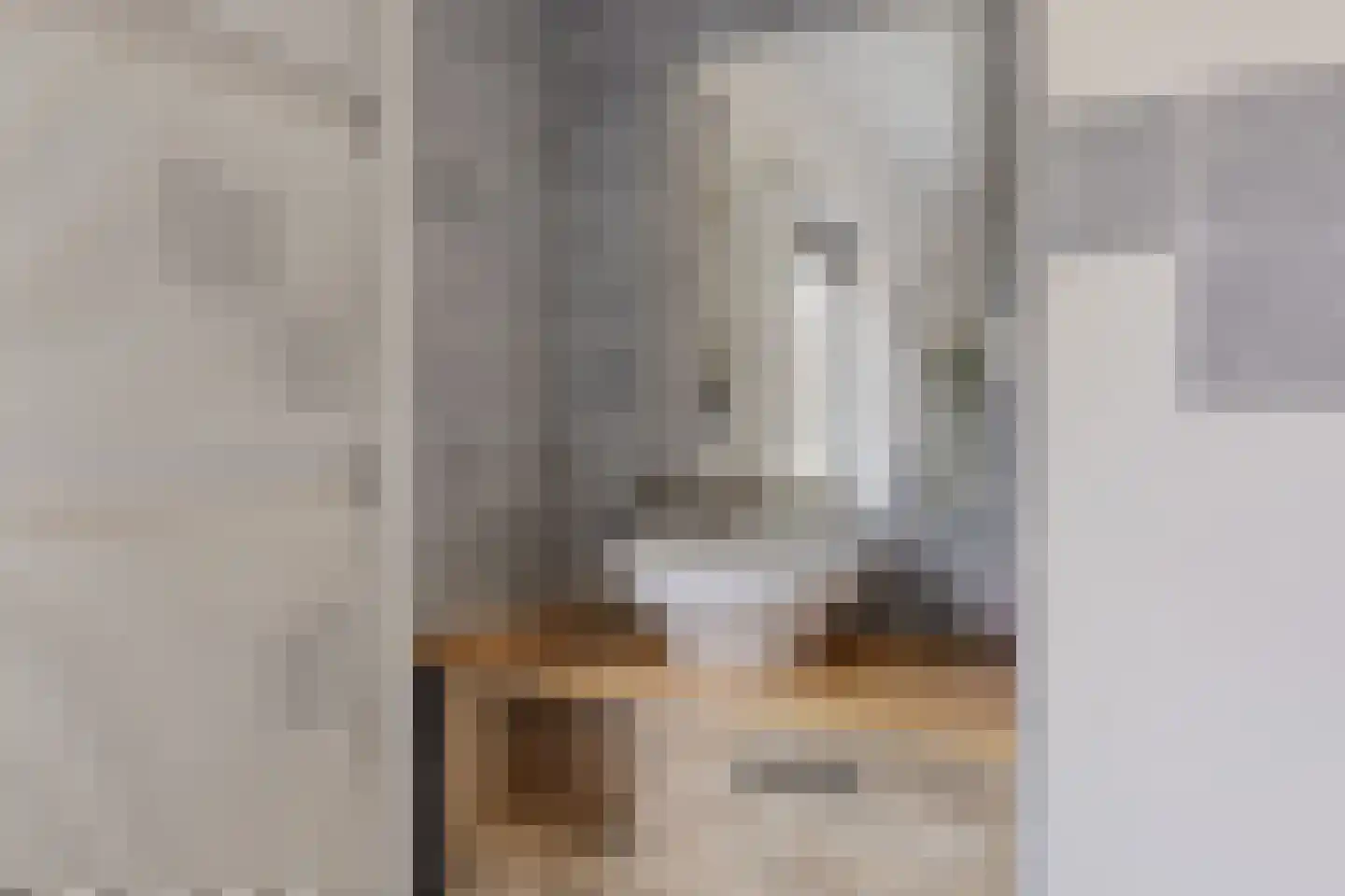 Predikherenstraat 7 Gemert thumbnail 27