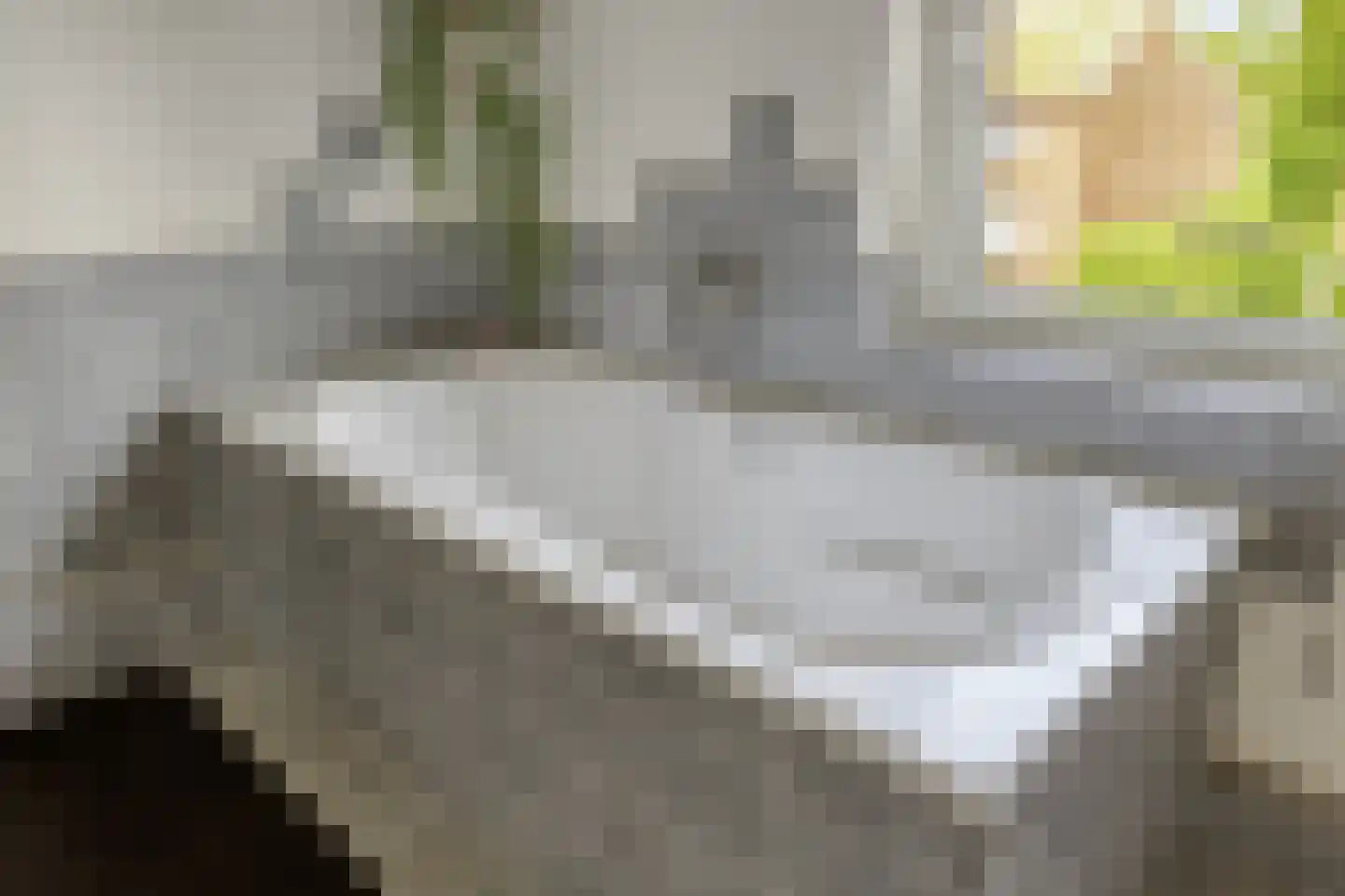 Predikherenstraat 7 Gemert thumbnail 28