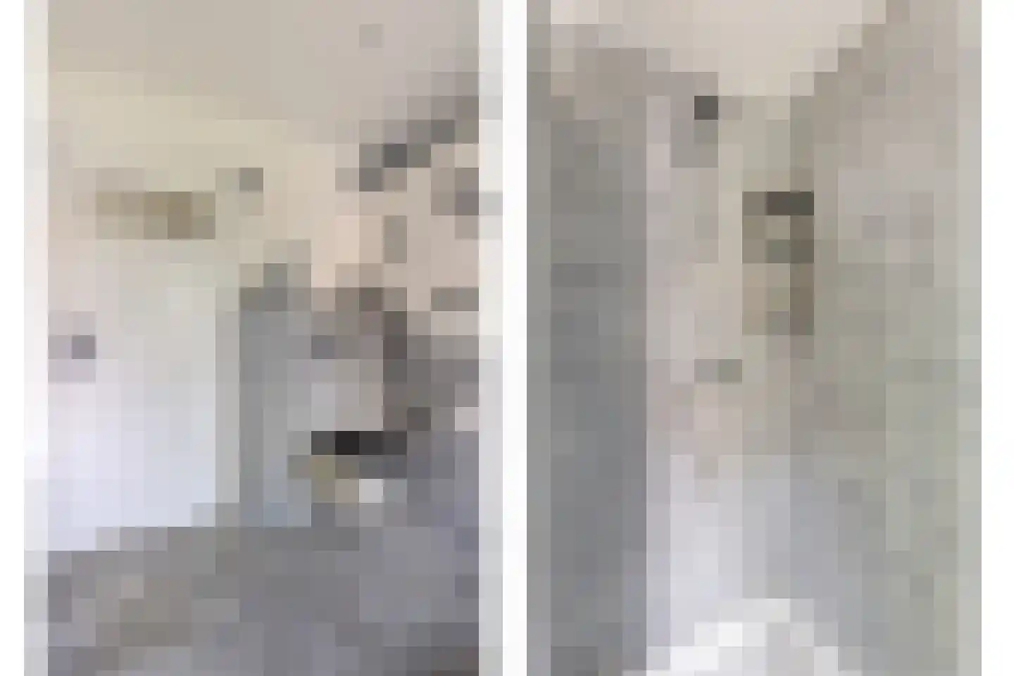Predikherenstraat 7 Gemert thumbnail 29