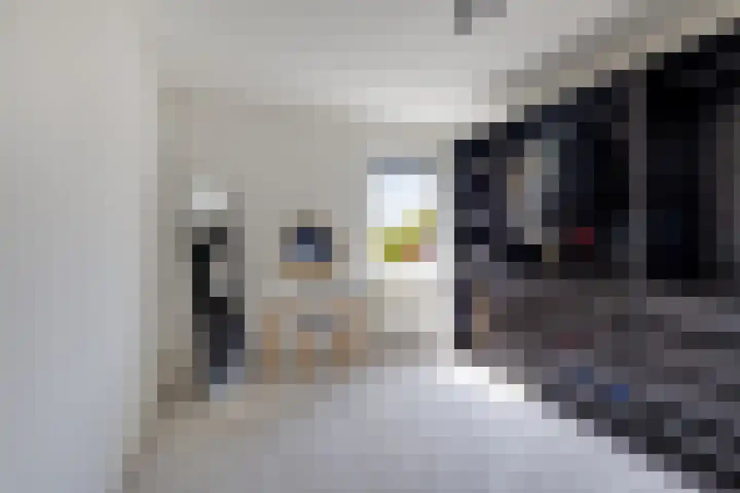 Predikherenstraat 7 Gemert thumbnail 30
