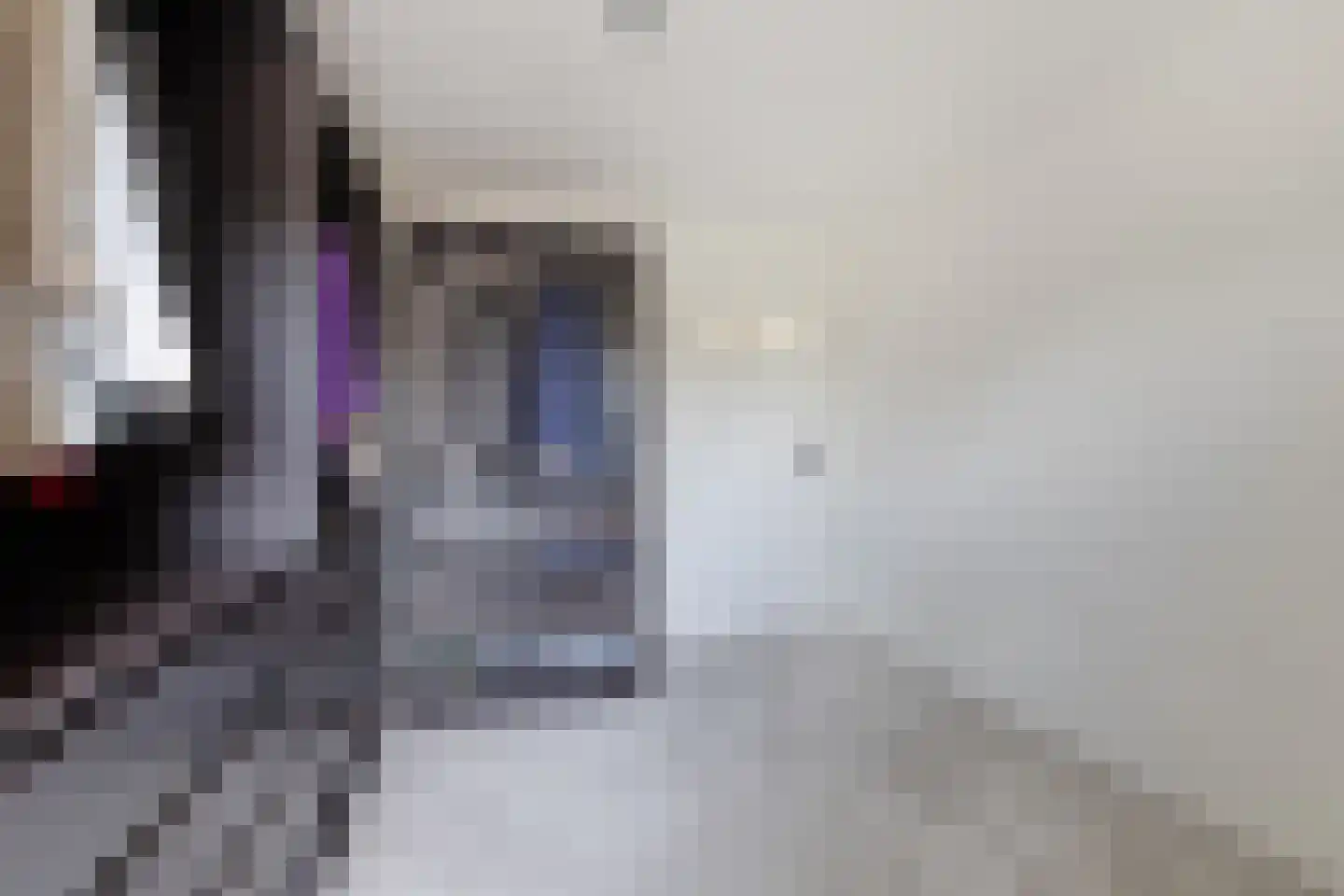 Predikherenstraat 7 Gemert thumbnail 31