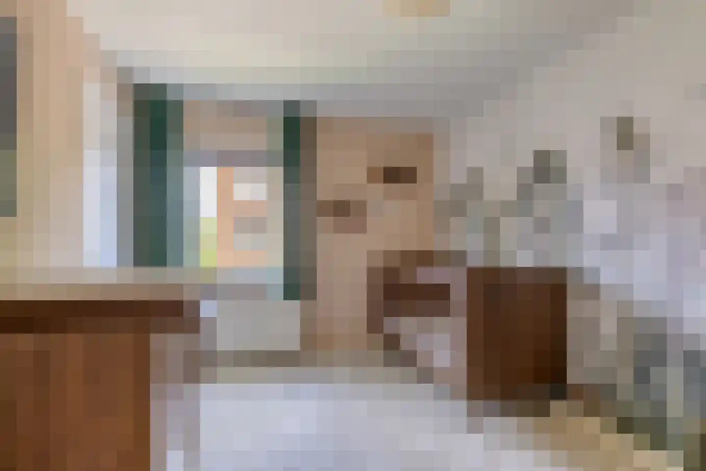 Predikherenstraat 7 Gemert thumbnail 32