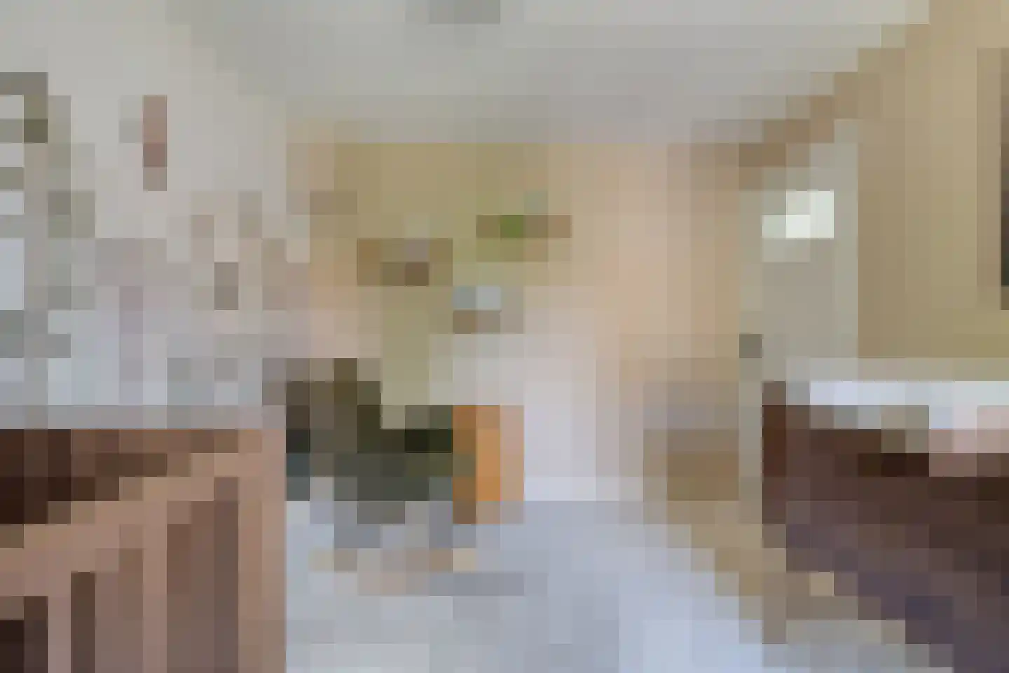 Predikherenstraat 7 Gemert thumbnail 33