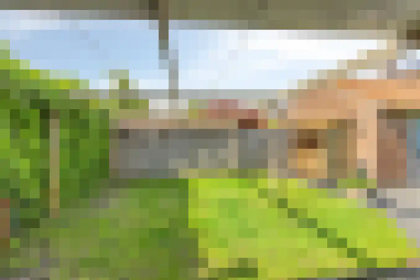 Predikherenstraat 7 Gemert thumbnail 37