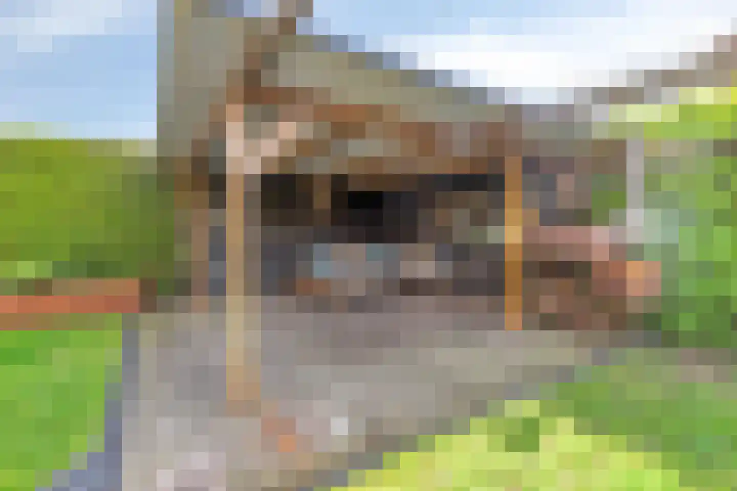 Predikherenstraat 7 Gemert thumbnail 40