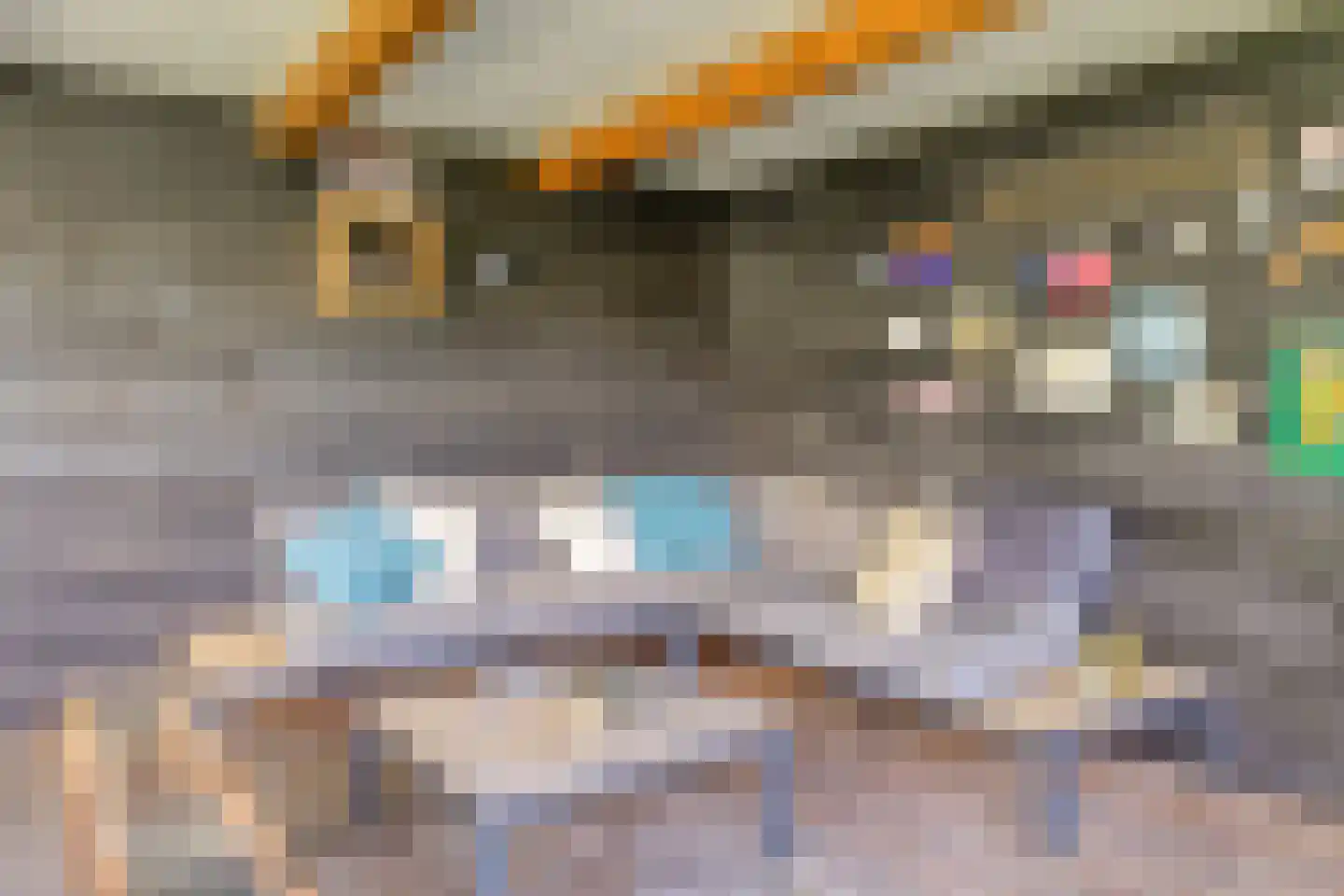 Predikherenstraat 7 Gemert thumbnail 41