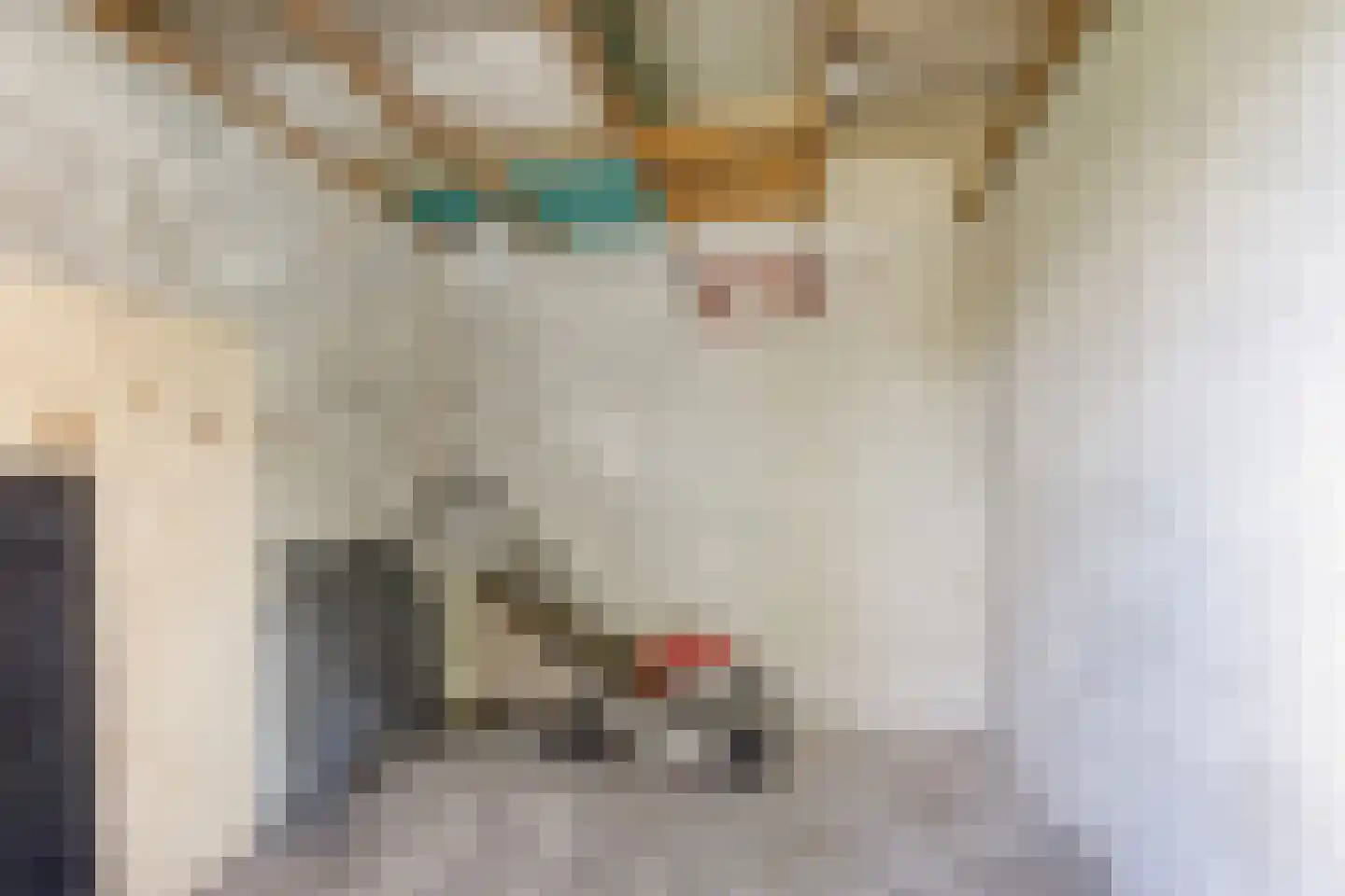Predikherenstraat 7 Gemert thumbnail 42