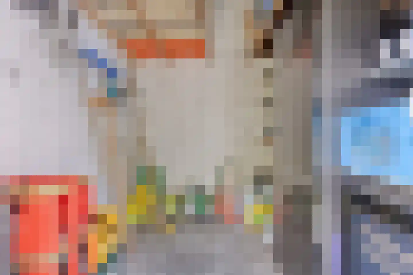 Predikherenstraat 7 Gemert thumbnail 43