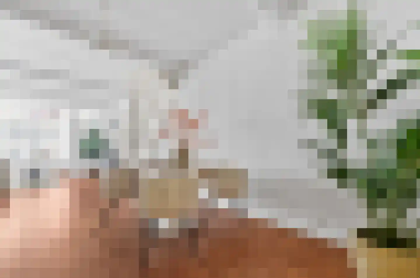 Predikherenstraat 7 Utrecht thumbnail 11