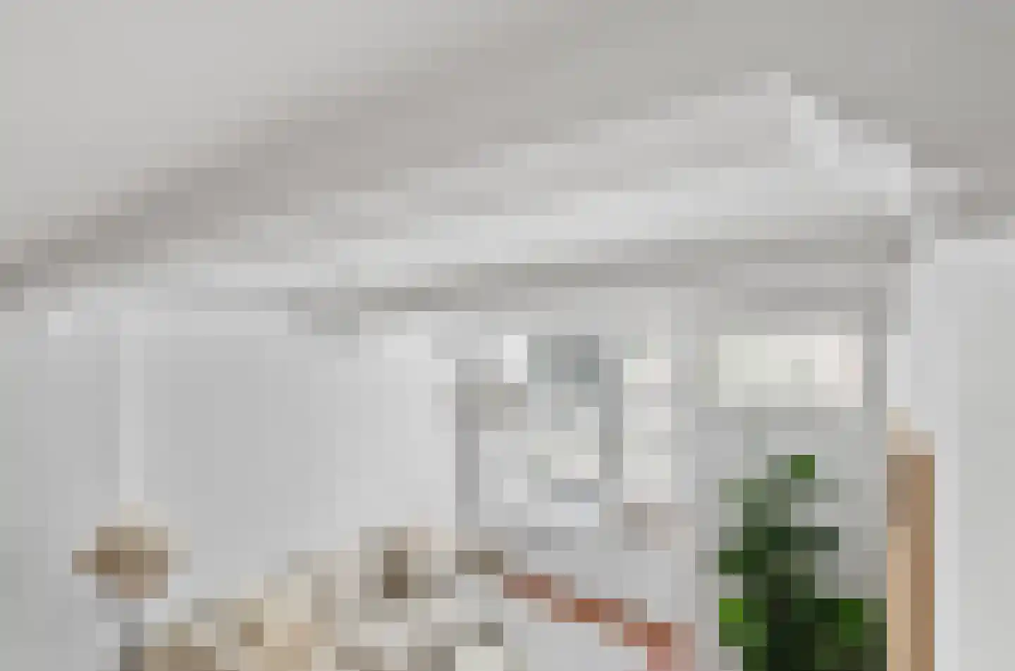 Predikherenstraat 7 Utrecht thumbnail 12