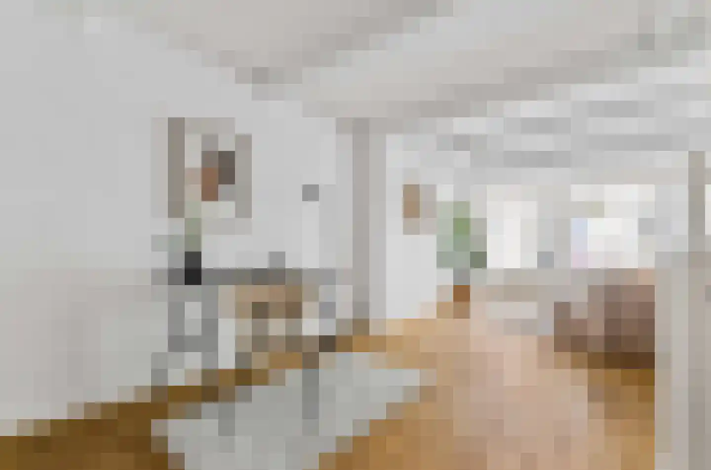 Predikherenstraat 7 Utrecht thumbnail 14