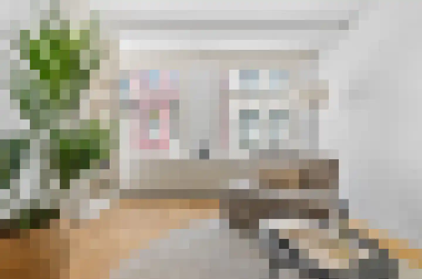Predikherenstraat 7 Utrecht thumbnail 16