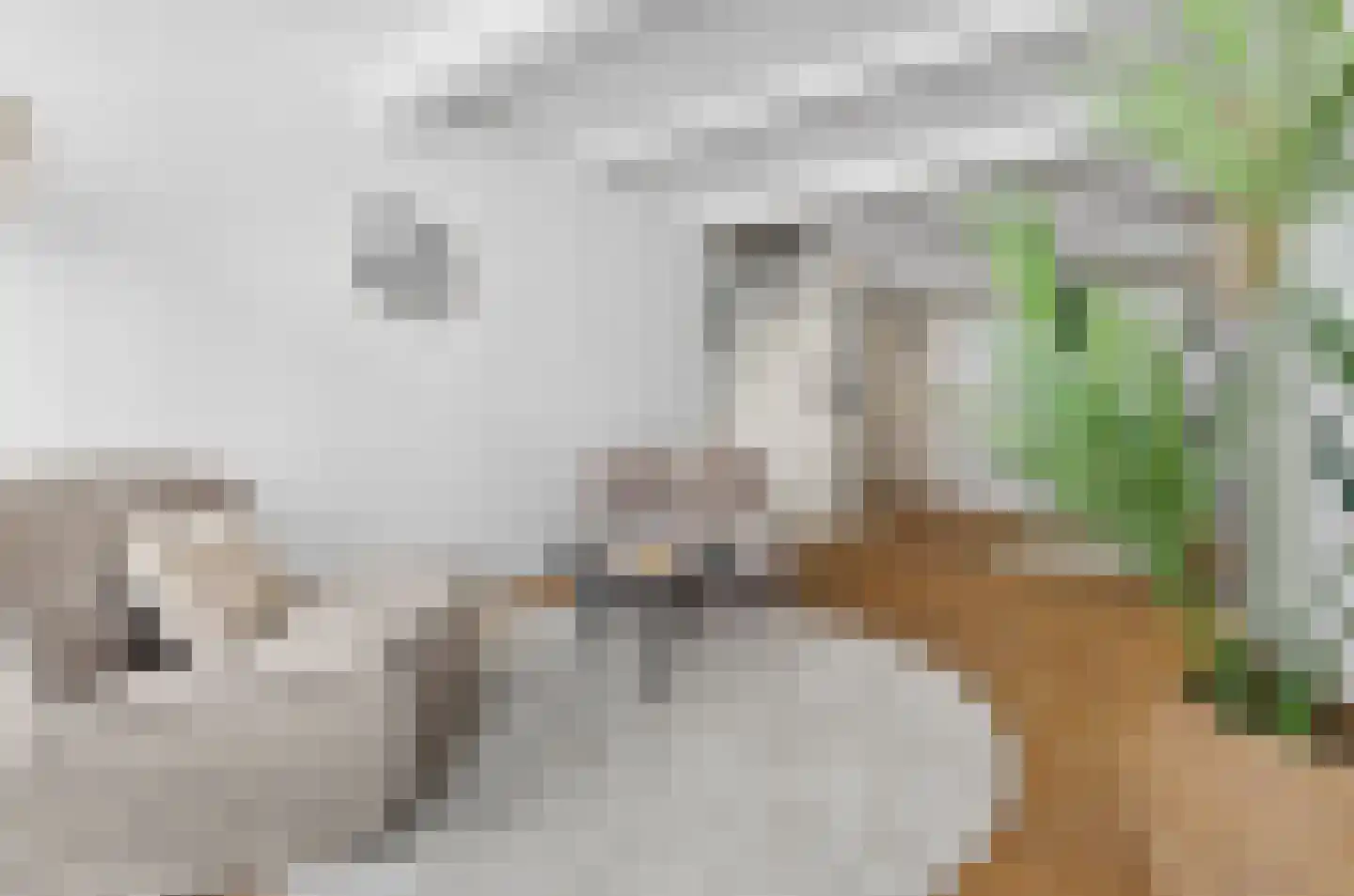Predikherenstraat 7 Utrecht thumbnail 18