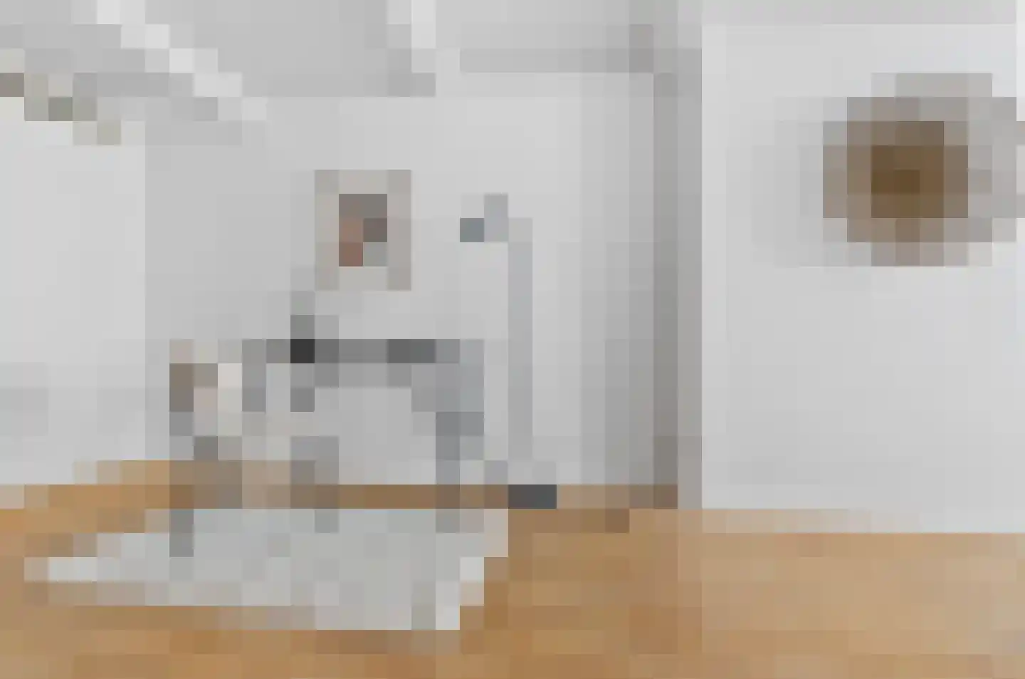 Predikherenstraat 7 Utrecht thumbnail 20