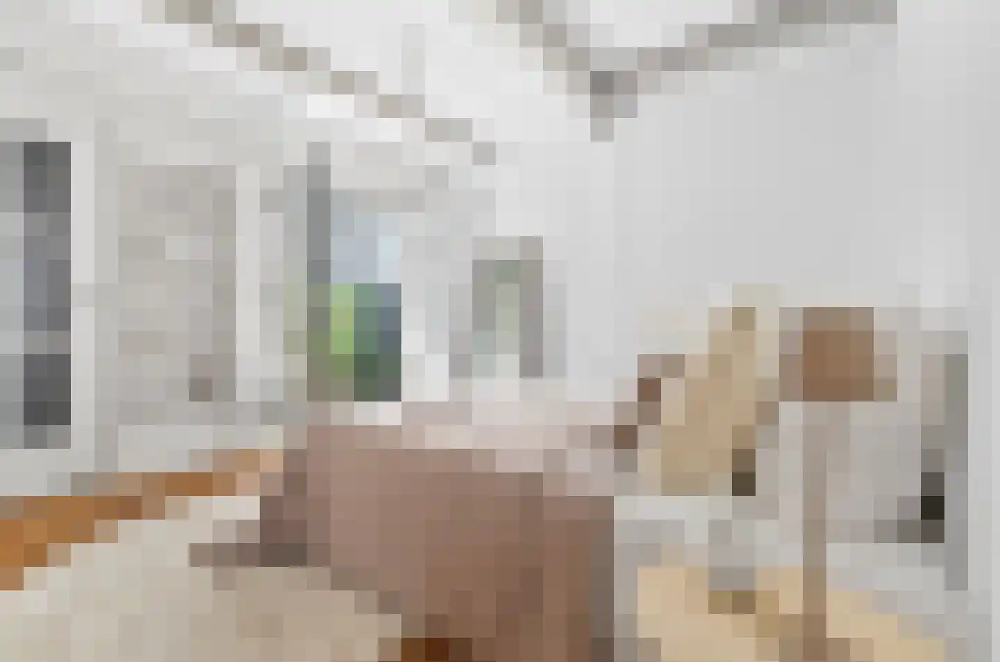 Predikherenstraat 7 Utrecht thumbnail 21