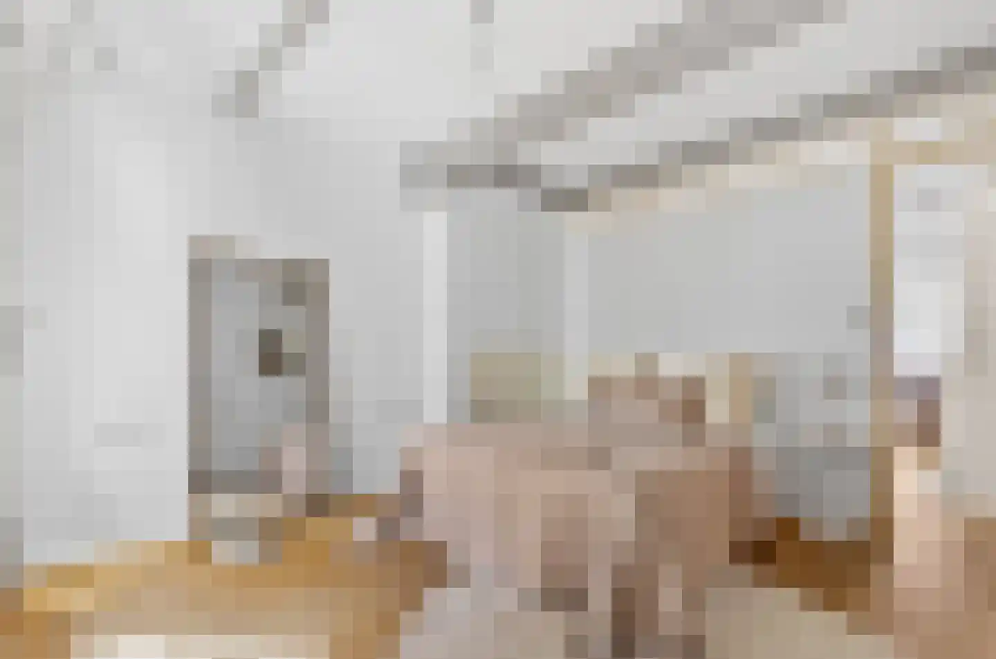 Predikherenstraat 7 Utrecht thumbnail 23
