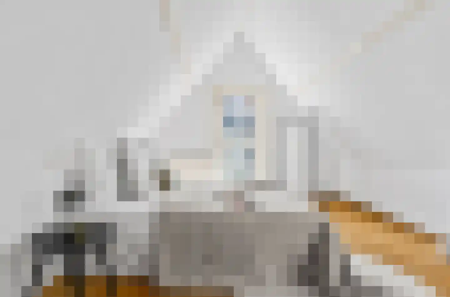 Predikherenstraat 7 Utrecht thumbnail 27