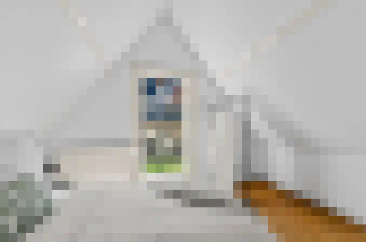 Predikherenstraat 7 Utrecht thumbnail 28