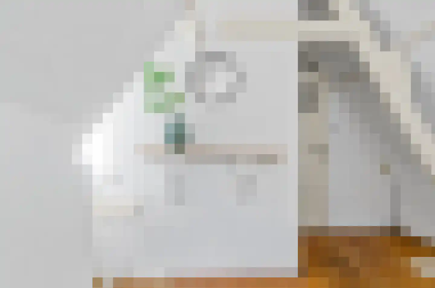 Predikherenstraat 7 Utrecht thumbnail 33
