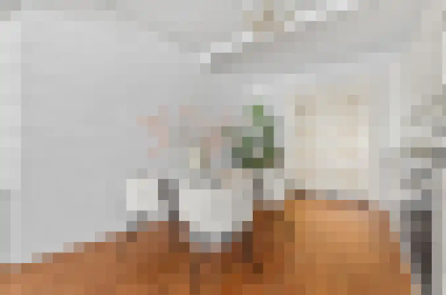 Predikherenstraat 7 Utrecht thumbnail 5