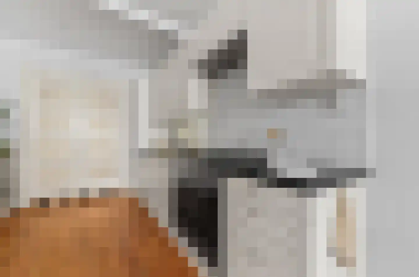 Predikherenstraat 7 Utrecht thumbnail 6