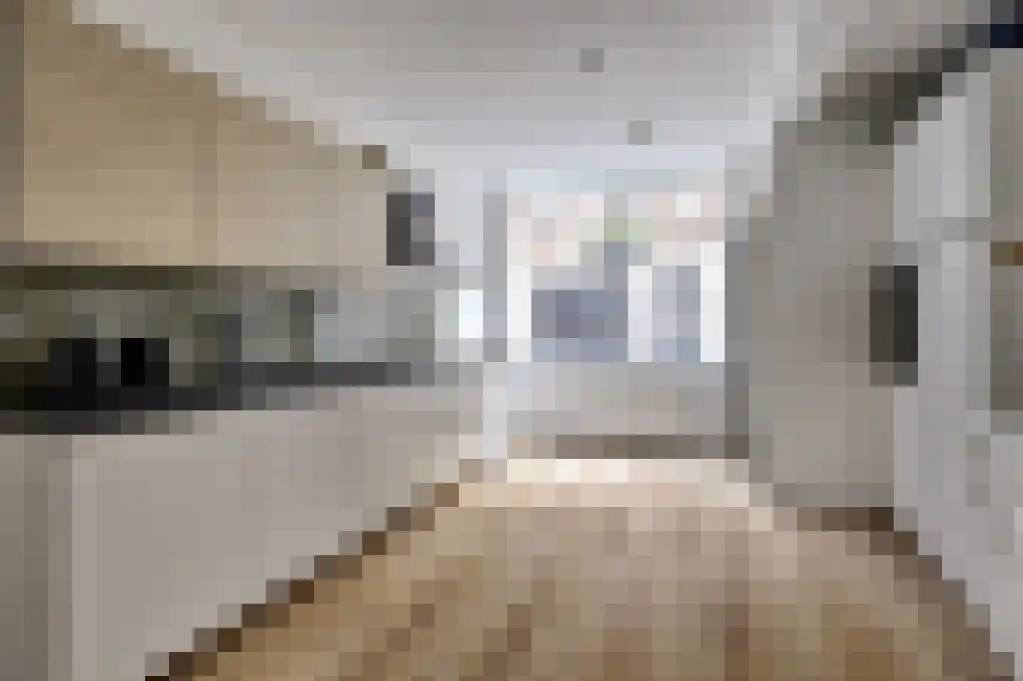 Predikherenstraat 8 Utrecht thumbnail 10