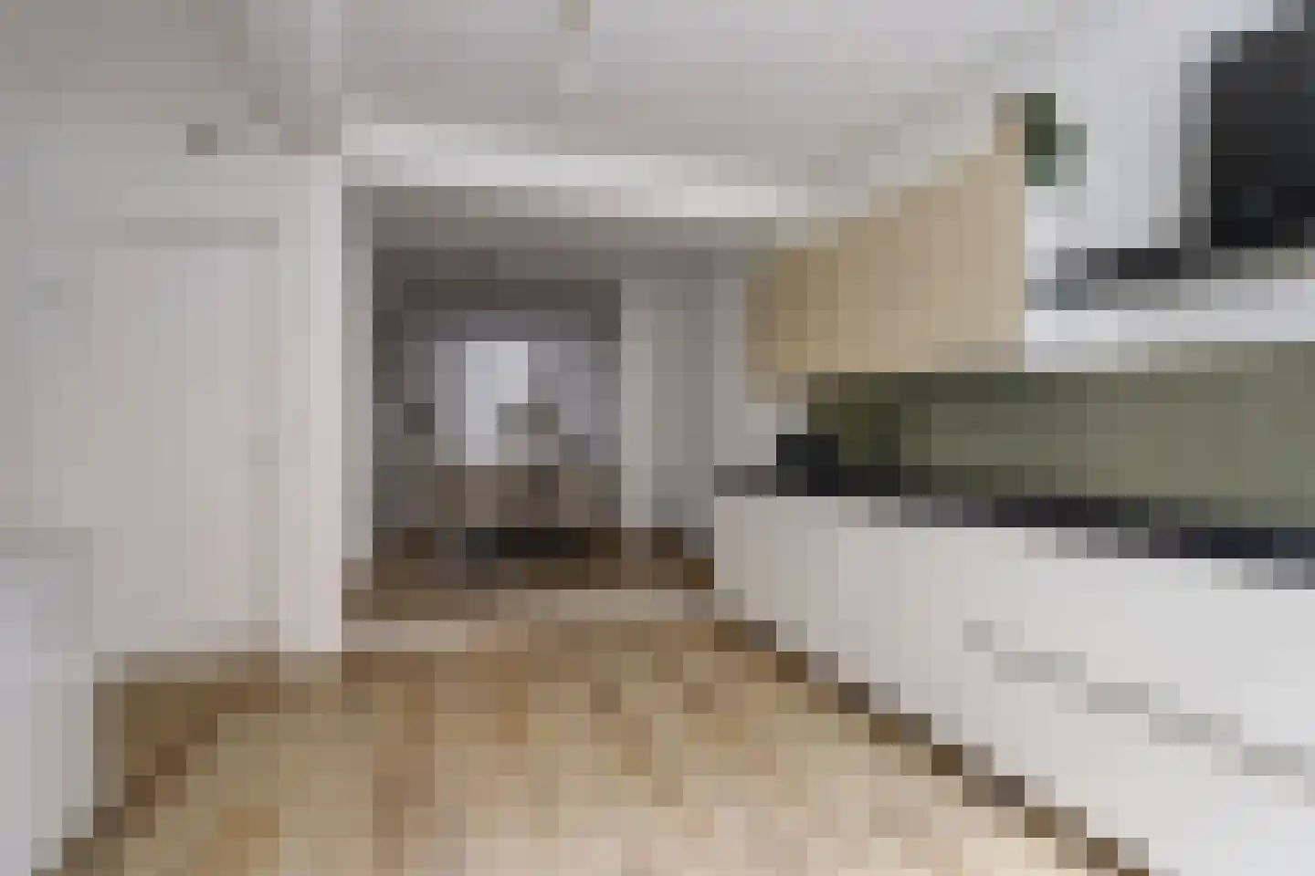 Predikherenstraat 8 Utrecht thumbnail 11
