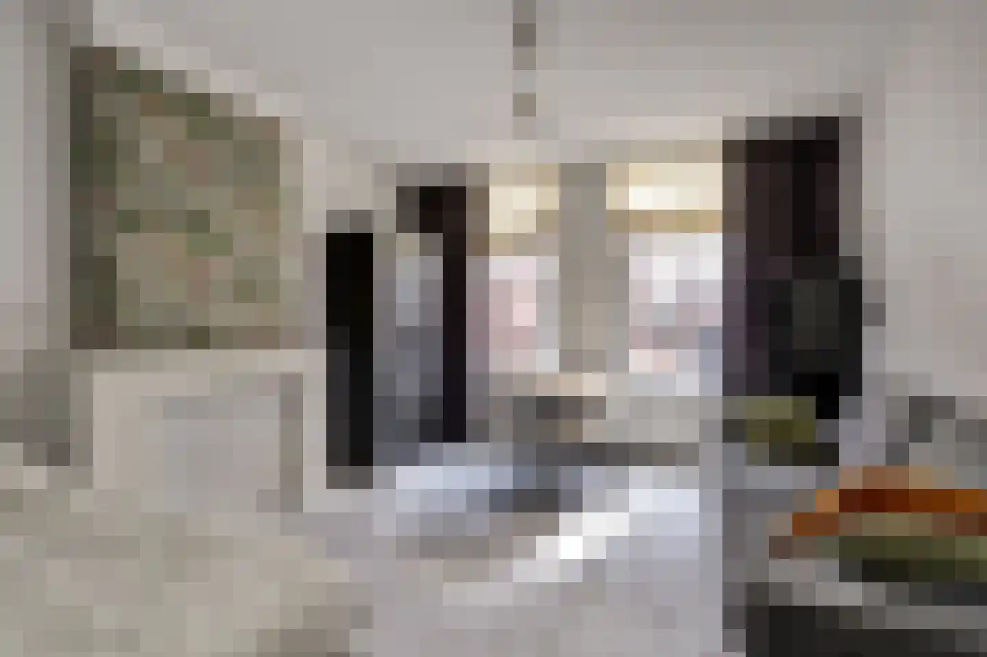 Predikherenstraat 8 Utrecht thumbnail 12