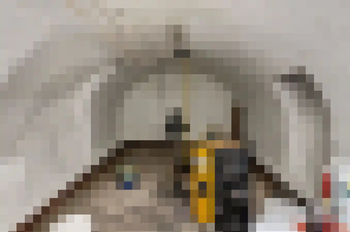 Predikherenstraat 8 Utrecht thumbnail 14