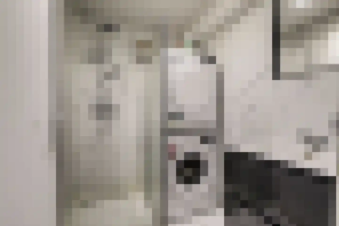 Predikherenstraat 8 Utrecht thumbnail 18