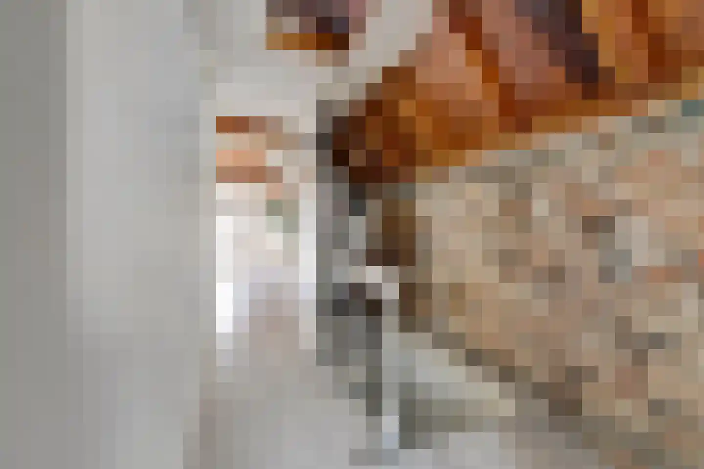 Predikherenstraat 8 Utrecht thumbnail 19